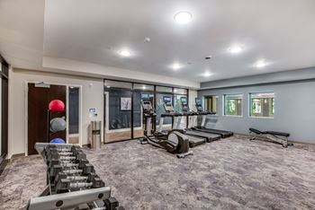 Fitness center at frost english silver in maplewood mn